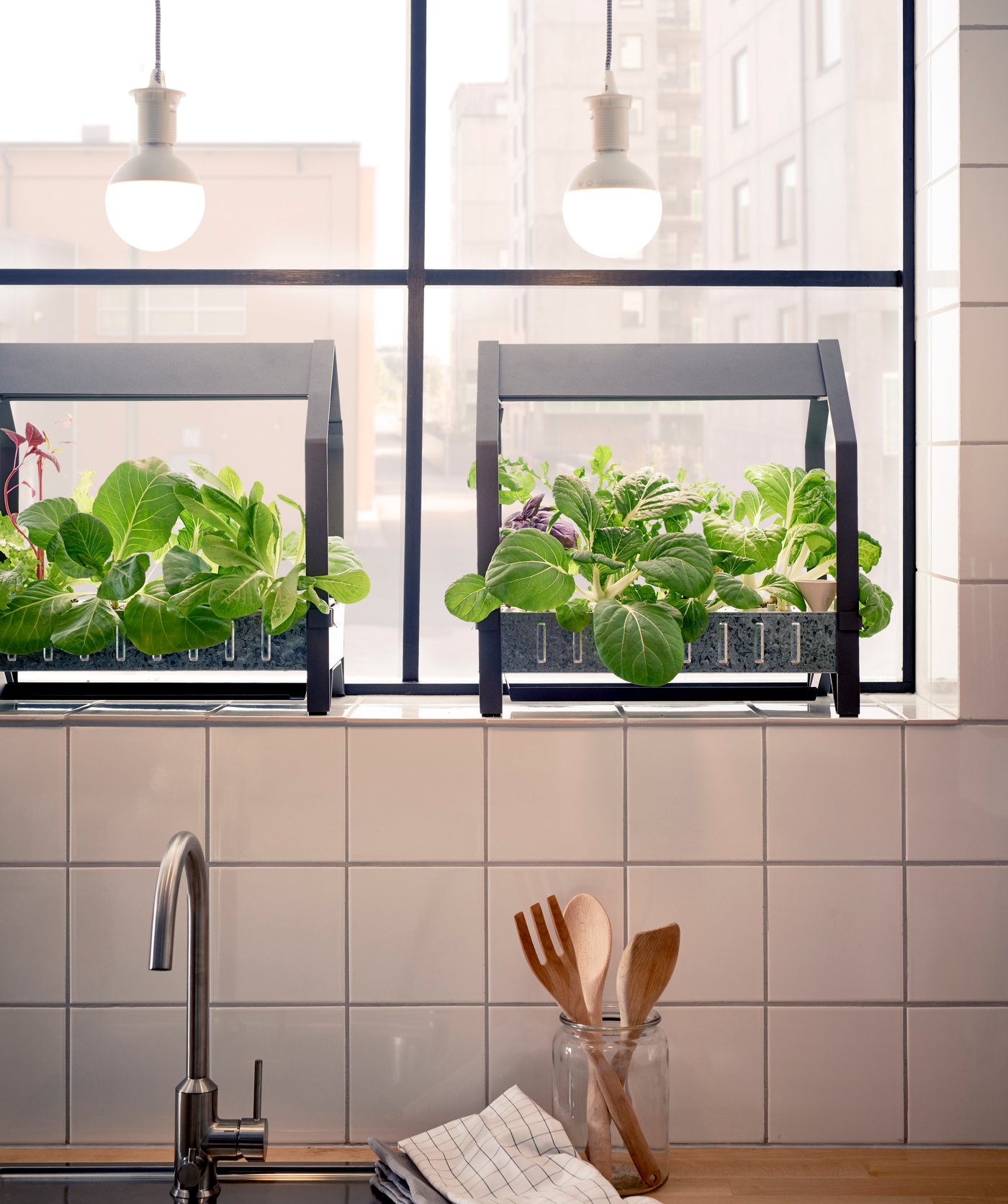 キッチンガーデニング