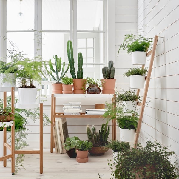 A bamboo/white SATSUMAS plant stand with 5 plant pots
