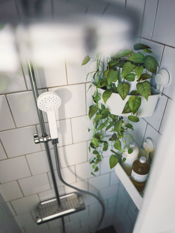 Bathing area with white LILLREVET single-spray hand shower and white TISKEN basket with suction cup holding toiletries.