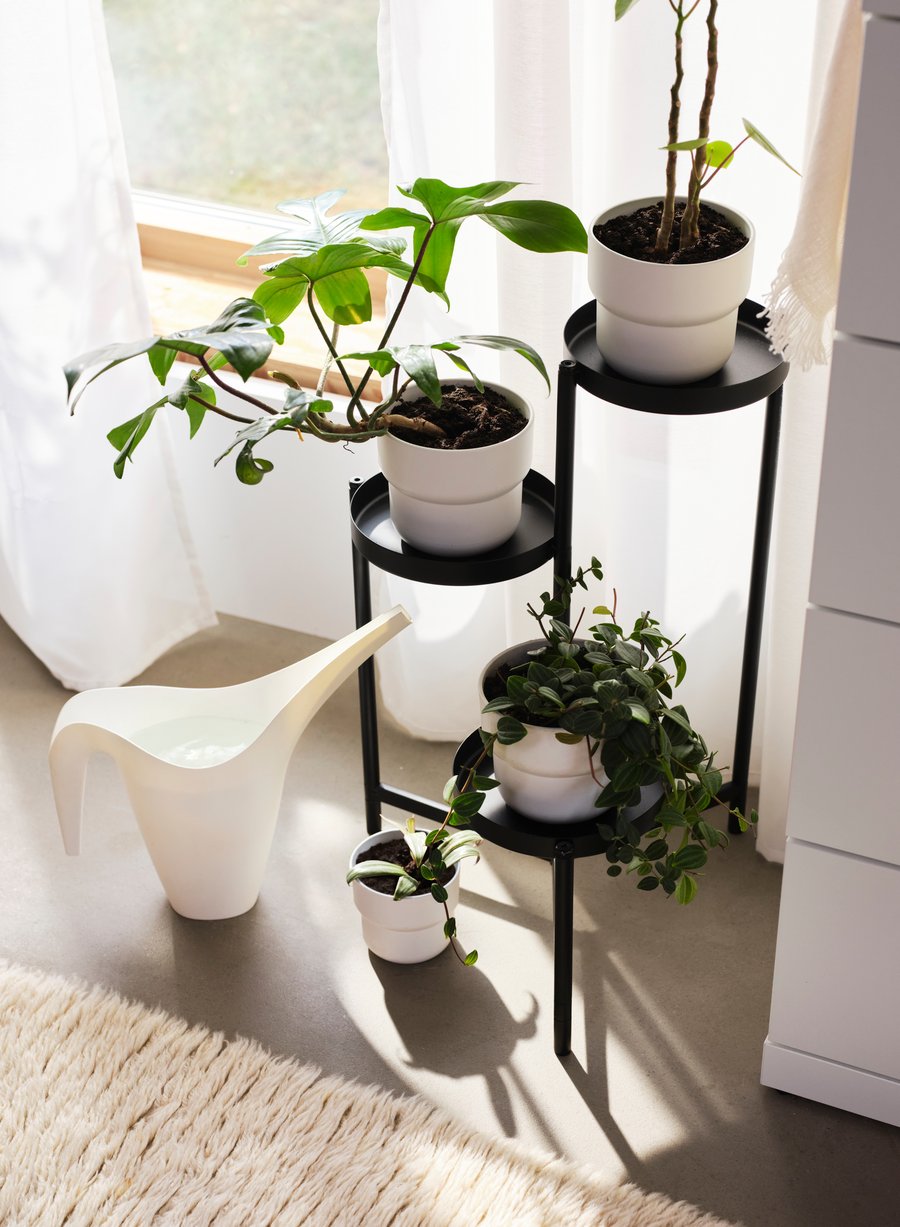 Pots & plants IKEA