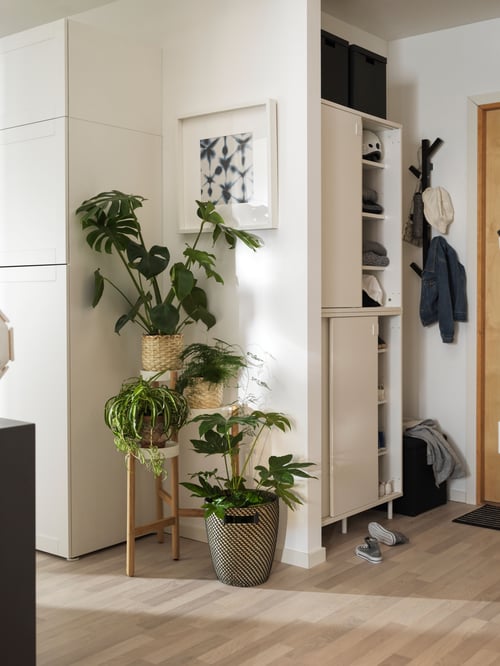 Hallway with MACKAPÄR shoe cabinet, multiple potted plants, a PLATSA wardrobe, FISKBO frame, and clothing items.