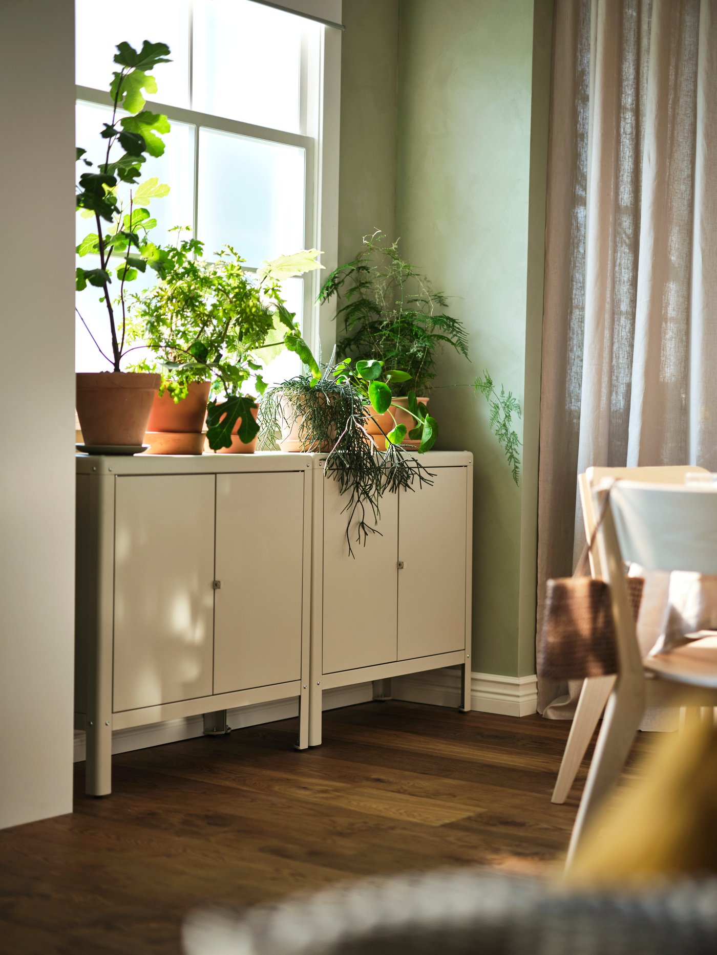 A selection of plants in terracotta pots atop two beige KOLBJÖRN cabinets below a window.