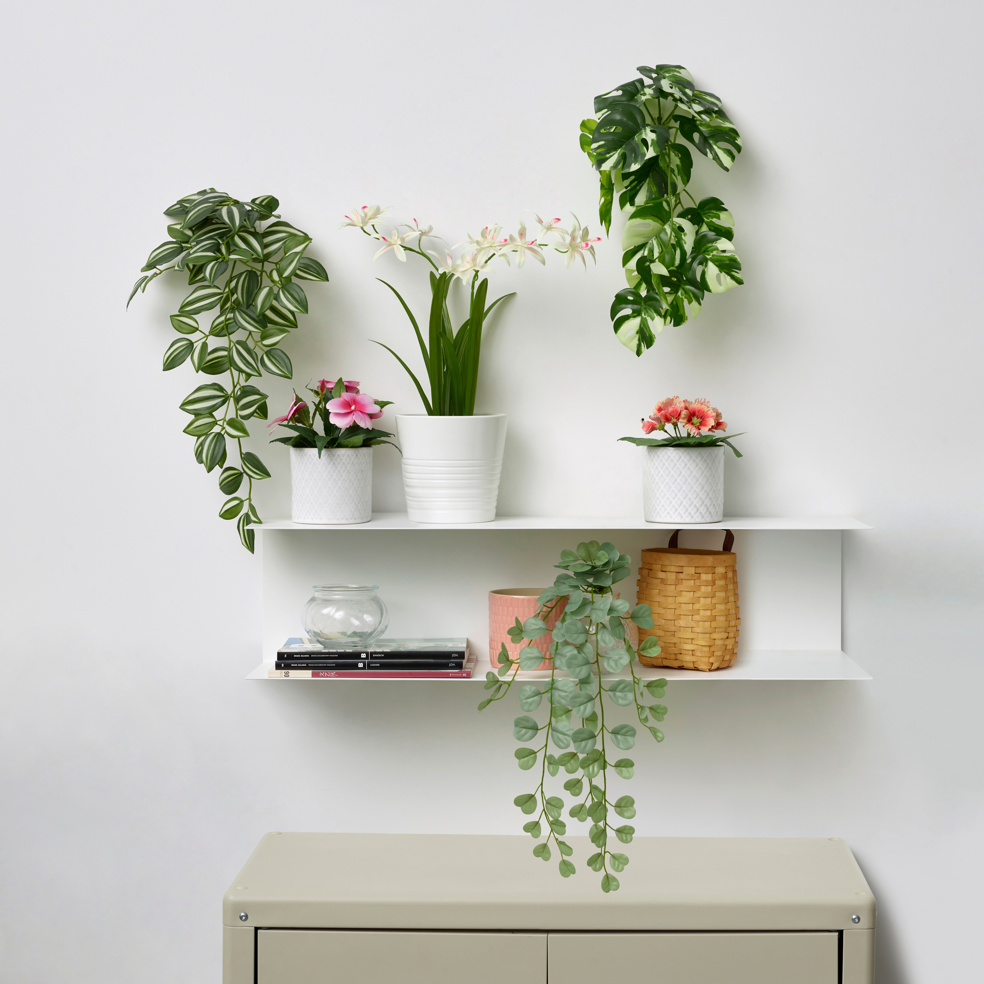 Горшки и растения