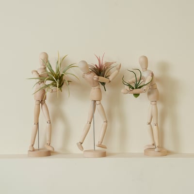 Decoration