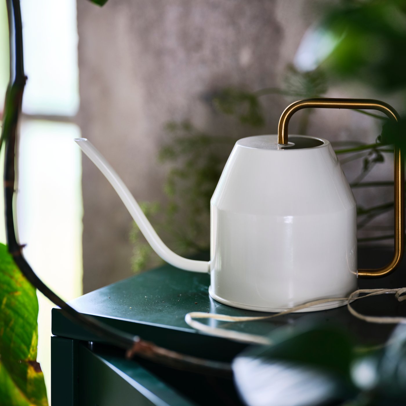 Dramblio kaulo / aukso spalvos VATTENKRASSE laistytuvas lauke