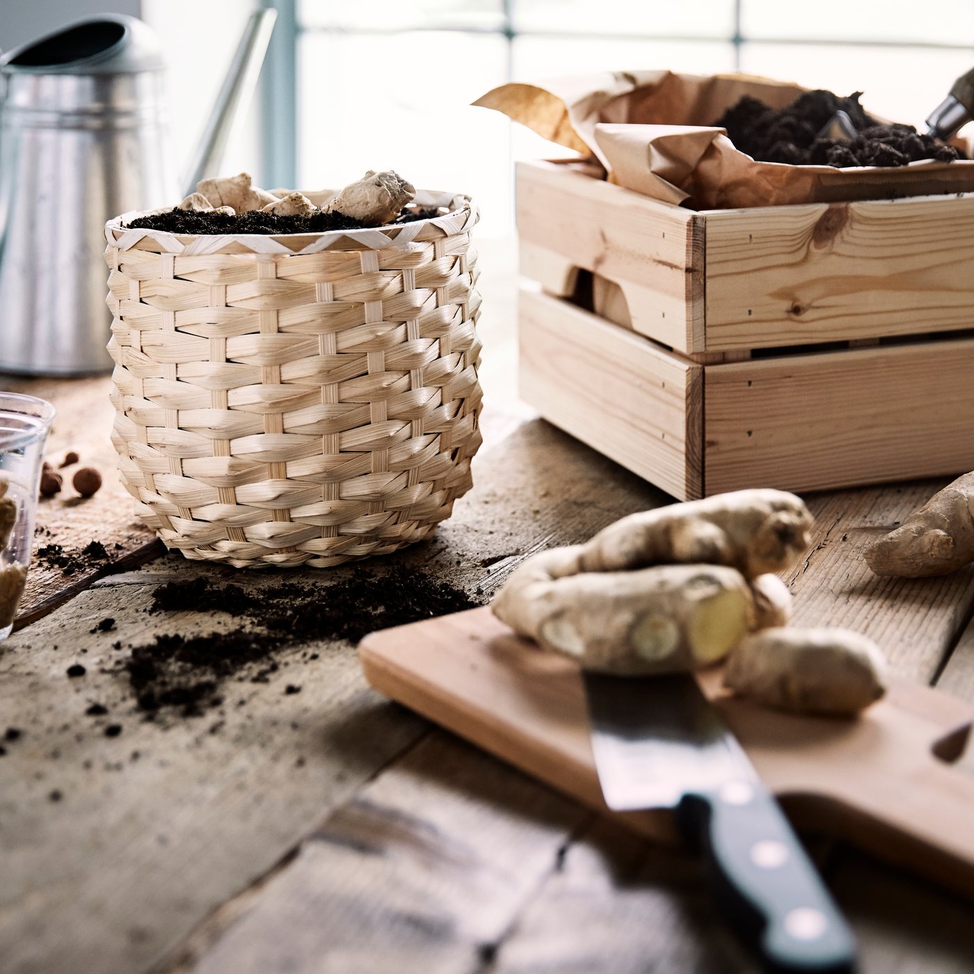 Ingwerwurzeln werden in KAFFEBÖNA Übertopf in Bambus ausgesäht. Daneben ist eine Holzkiste mit braunem Papier zu sehen. Beides steht auf einem groben Holztisch.
