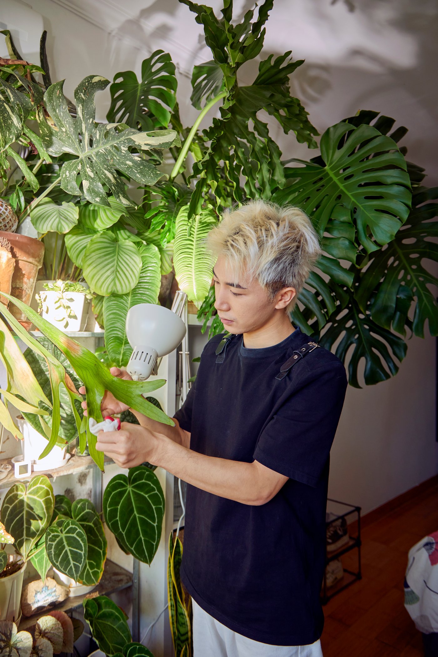 En dreng holder bladene fra en grøn plante mellem hænderne og i baggrunden ses en endnu større grøn plante.