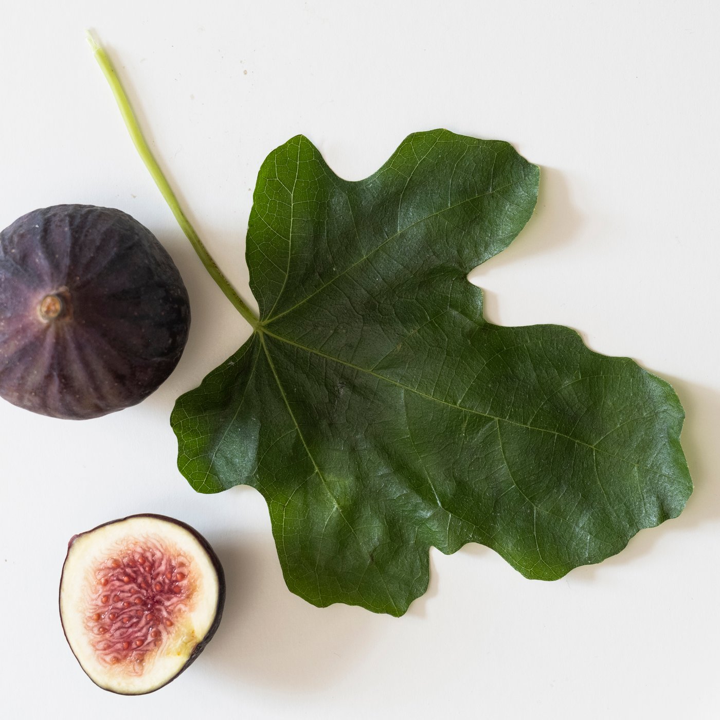 A Fig leaf green LOTSFÅGEL scented candle in glass