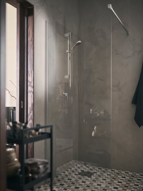 Bathroom focus of a riser rail with a handshower wall outlet made out of stainless steel, behind a shower screen.