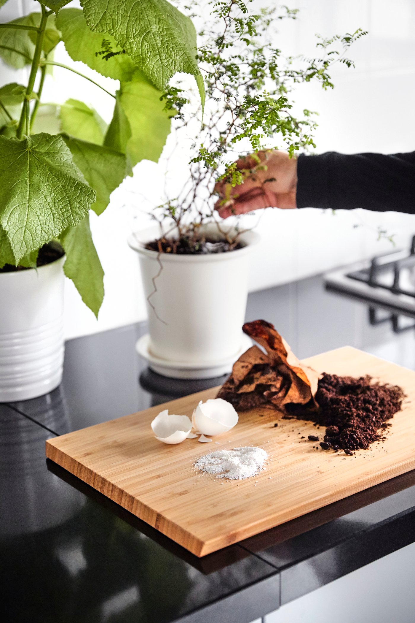 Enkla matrester som är enkla att återanvända är äggskal och kaffesump. 