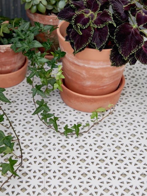 Zona exterioara cu pardoseala alba cu model grafic, plante verzi, ghivece de diferite marimi, pereti din lemn.