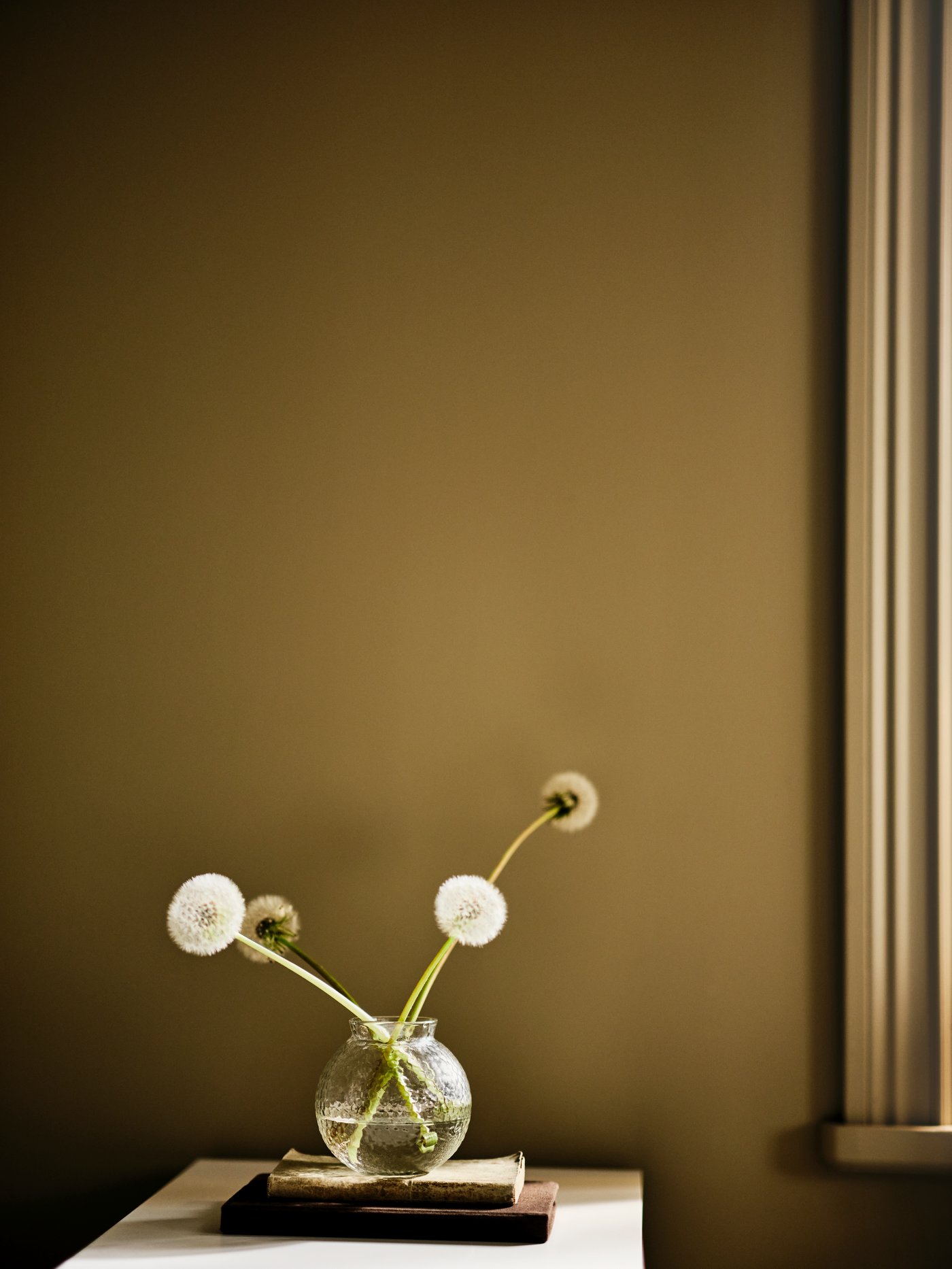 ארבעה פרחי שן הארי באגרטל KONSTFULL מזכוכית שקופה עם דוגמא, שמונח על גבי שתי תחתיות על משטח לבן.