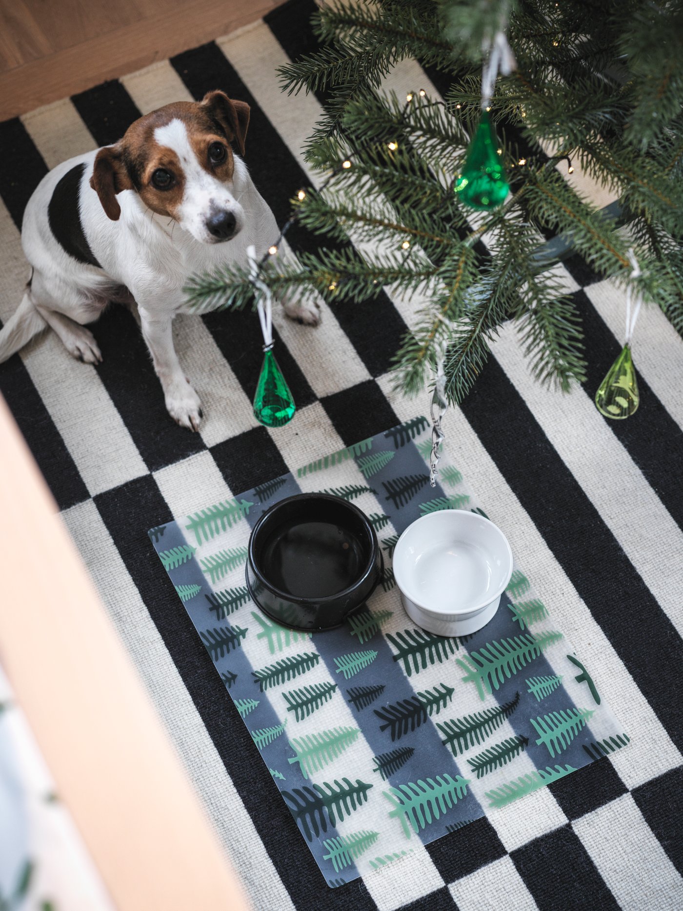 Un individual con motivos de árboles verdes está en el suelo bajo un árbol navideño junto a un perro; los platos están sobre el mantel.