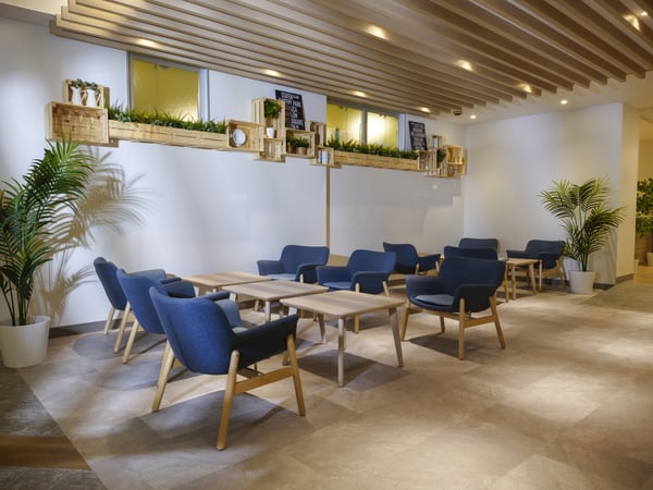 青いクッションチェアと木製テーブルが並ぶ室内。観葉植物と棚が配置された落ち着いた空間