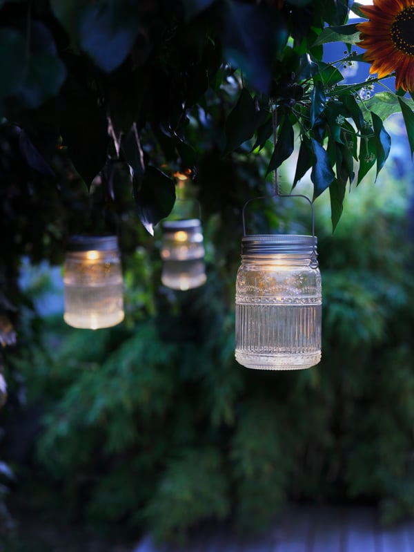 Summer night foliage. Three glowing, clear glass solar-powered SOLVINDEN LED outdoor jar table lamps hang from tree branches.