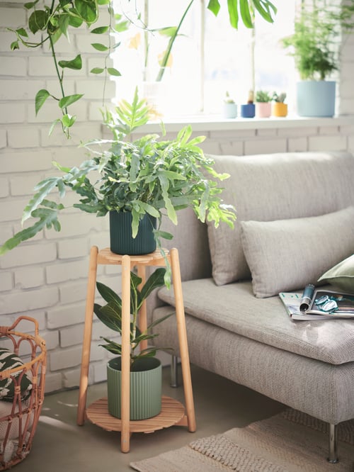 Zonă de living în care un suport de plante DAKSJUS bej cu două ghivece este așezat lângă o canapea gri cu perne.