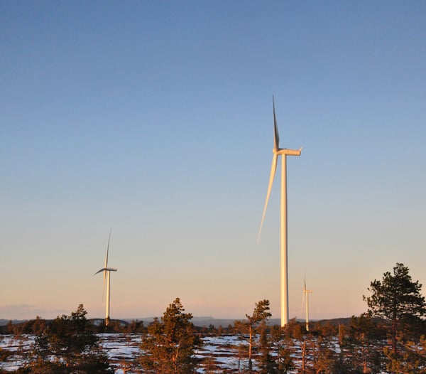 Tre vindkraftverk bland träd i ett landskap under klar himmel med soluppgång eller solnedgång i horisonten.