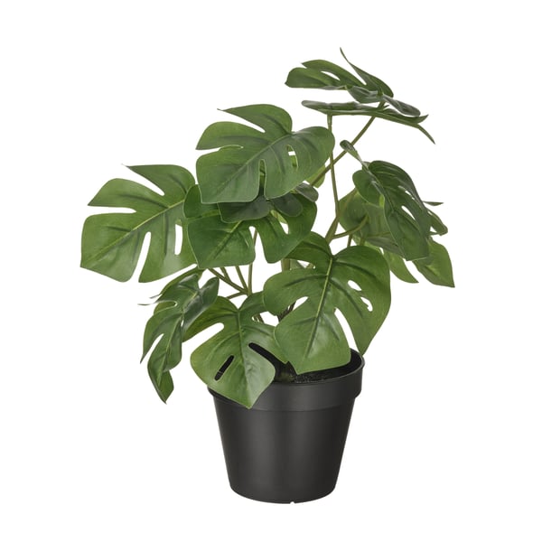 An in/outdoor Monstera FEJKA artificial potted plant in the NA
