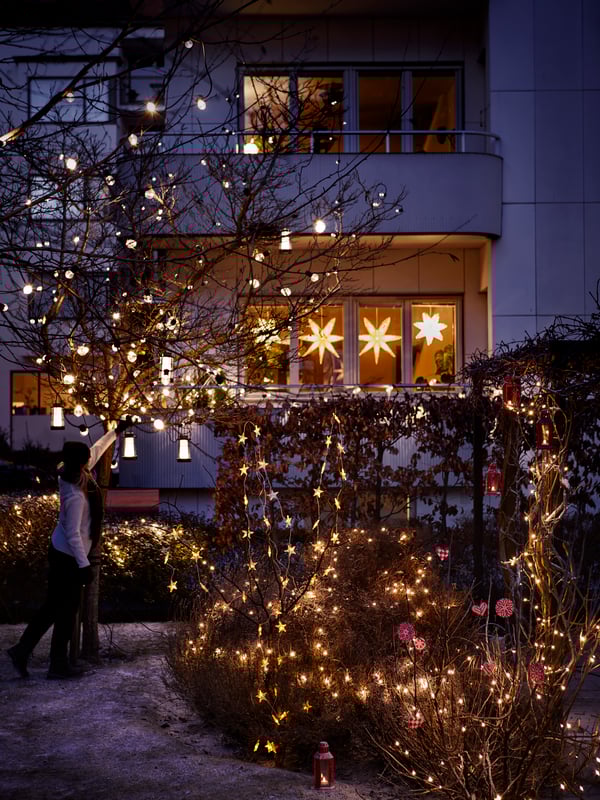 Plants are strung with softly glowing gold STRÅLA LED lighting chains in the shape of stars in a garden at night.