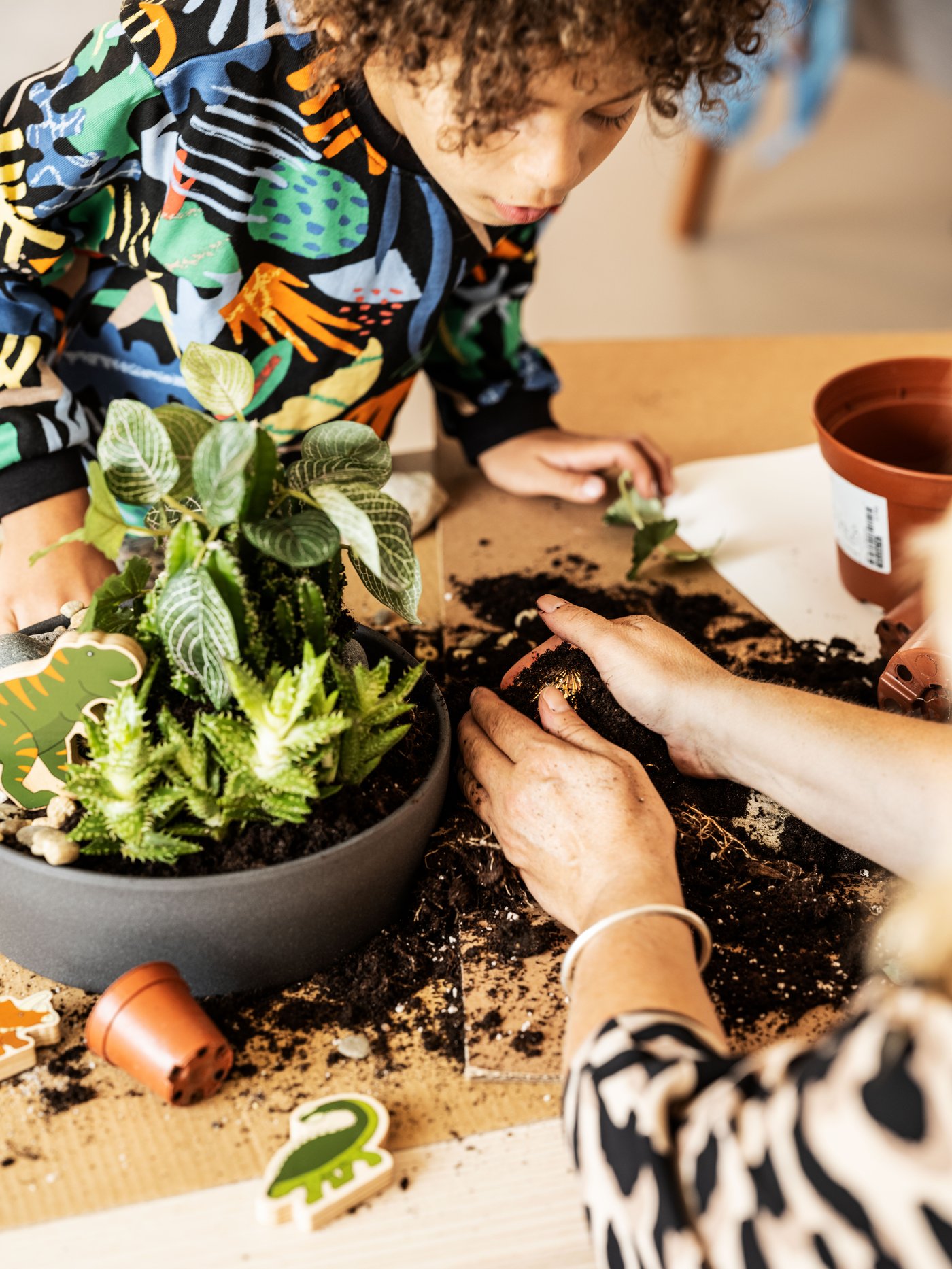 Un niño con un polerón colorido se inclina sobre una mesa de madera donde un adulto trabaja con tierra para plantar una planta. 