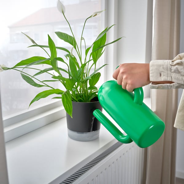 A bright green ÄRTBUSKE vase/watering can
