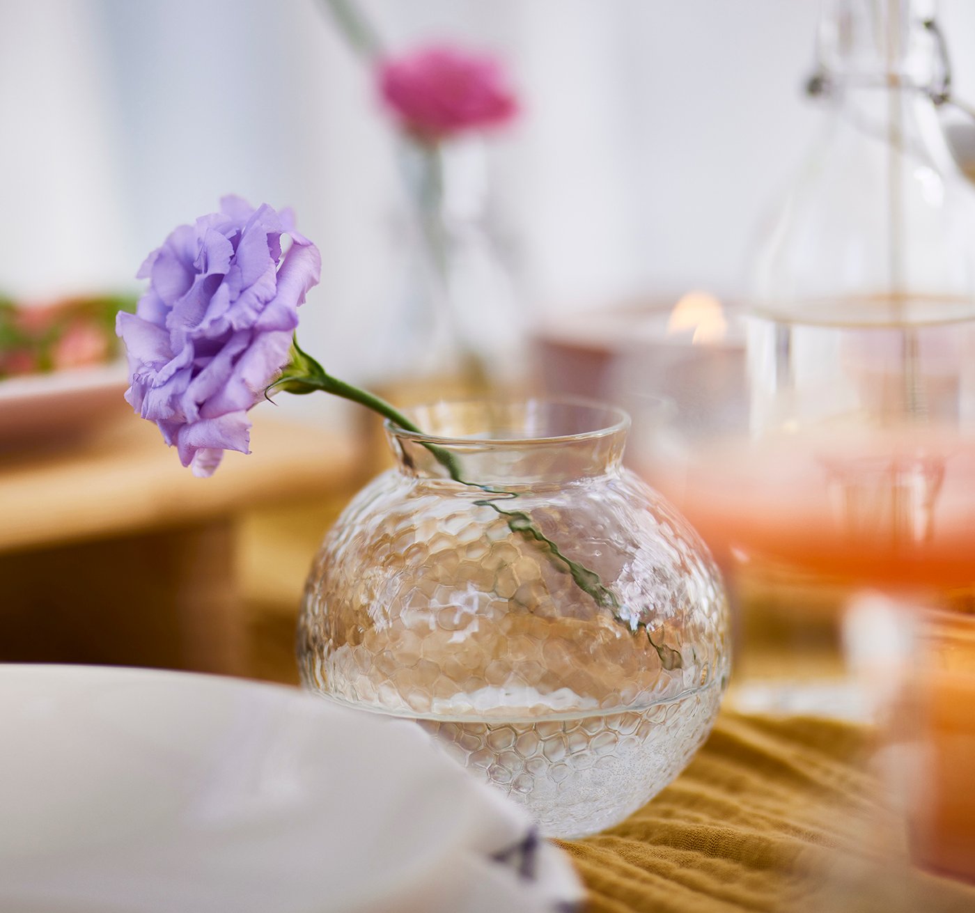 In einer kleinen, bauchigen Vase steht schräg eine einzelne lilafarbene Nelke