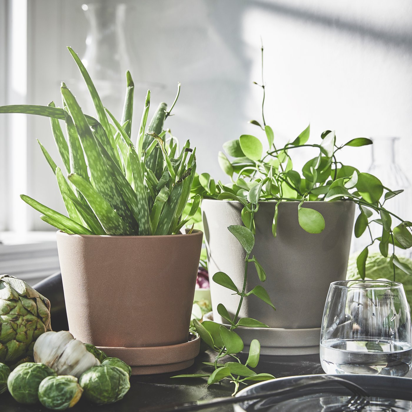 An in/outdoor brown KLARBÄR plant pot with saucer