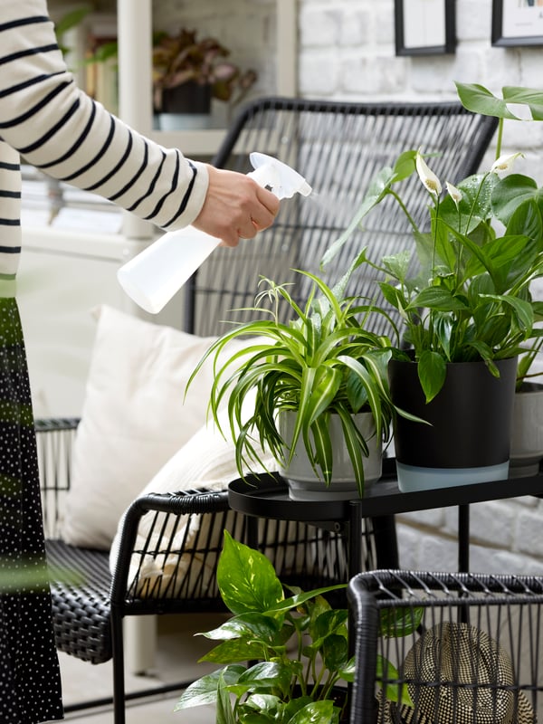 An arm holding a white TOMAT spray bottle, misting potted plants on a black OLIVBLAD in/outdoor plant stand.