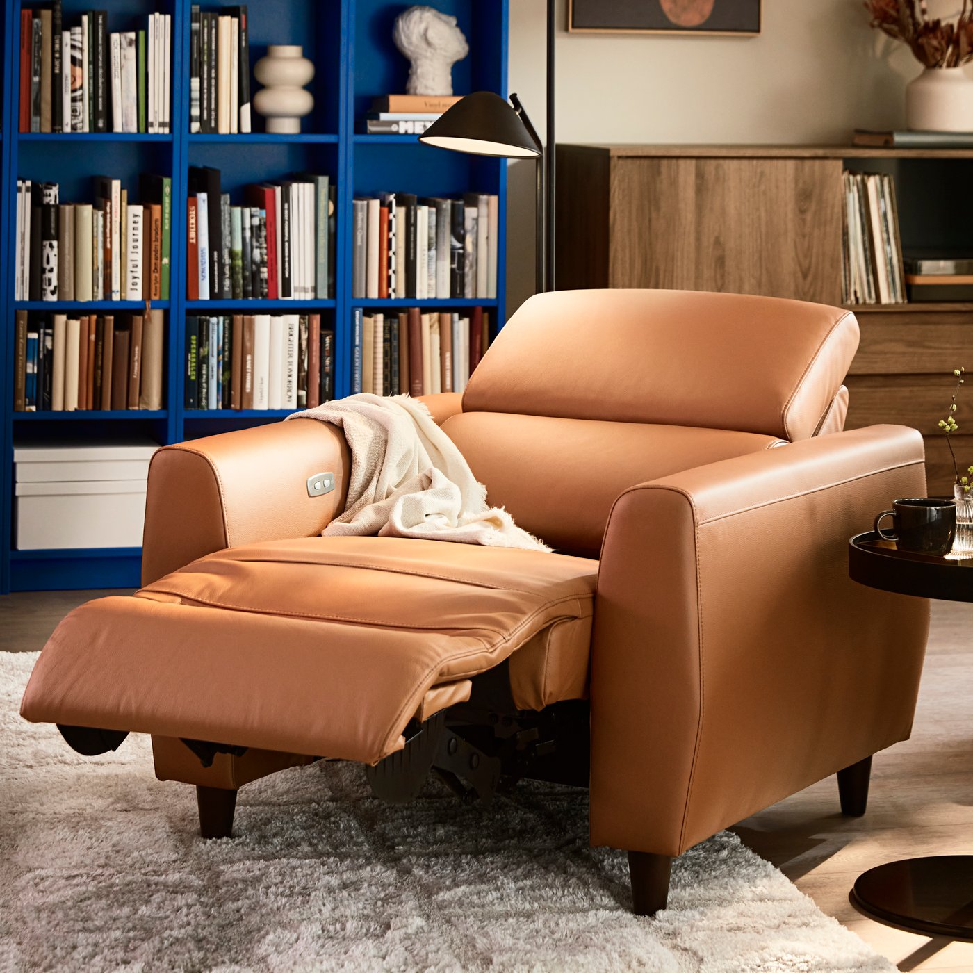 fauteuil électrique