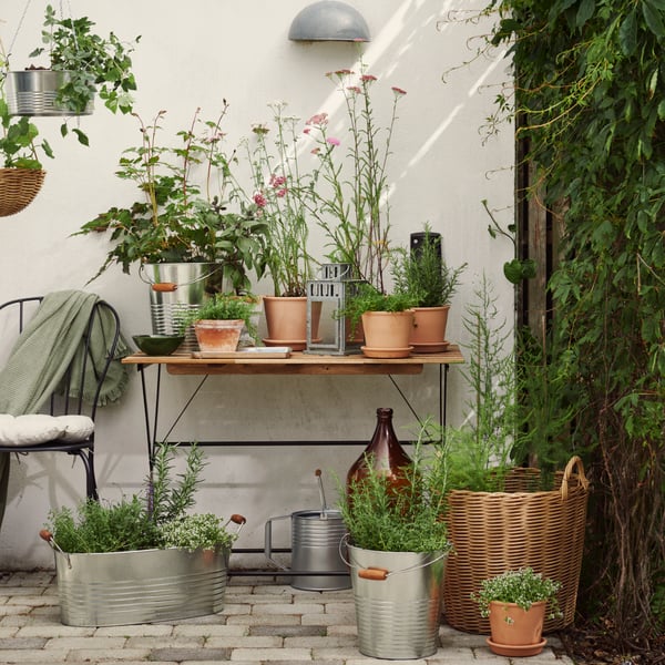 A black and light brown TÄRNÖ table in front of a white outdoor wall, filled with green potted plants and flowers.