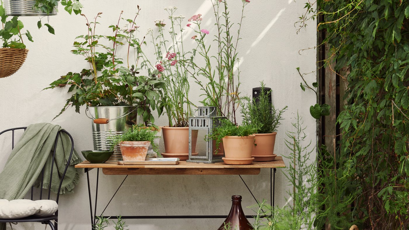 Et sort og lysebrunt TÄRNÖ bord foran en hvid udendørs væg, fyldt med grønne potteplanter og blomster.