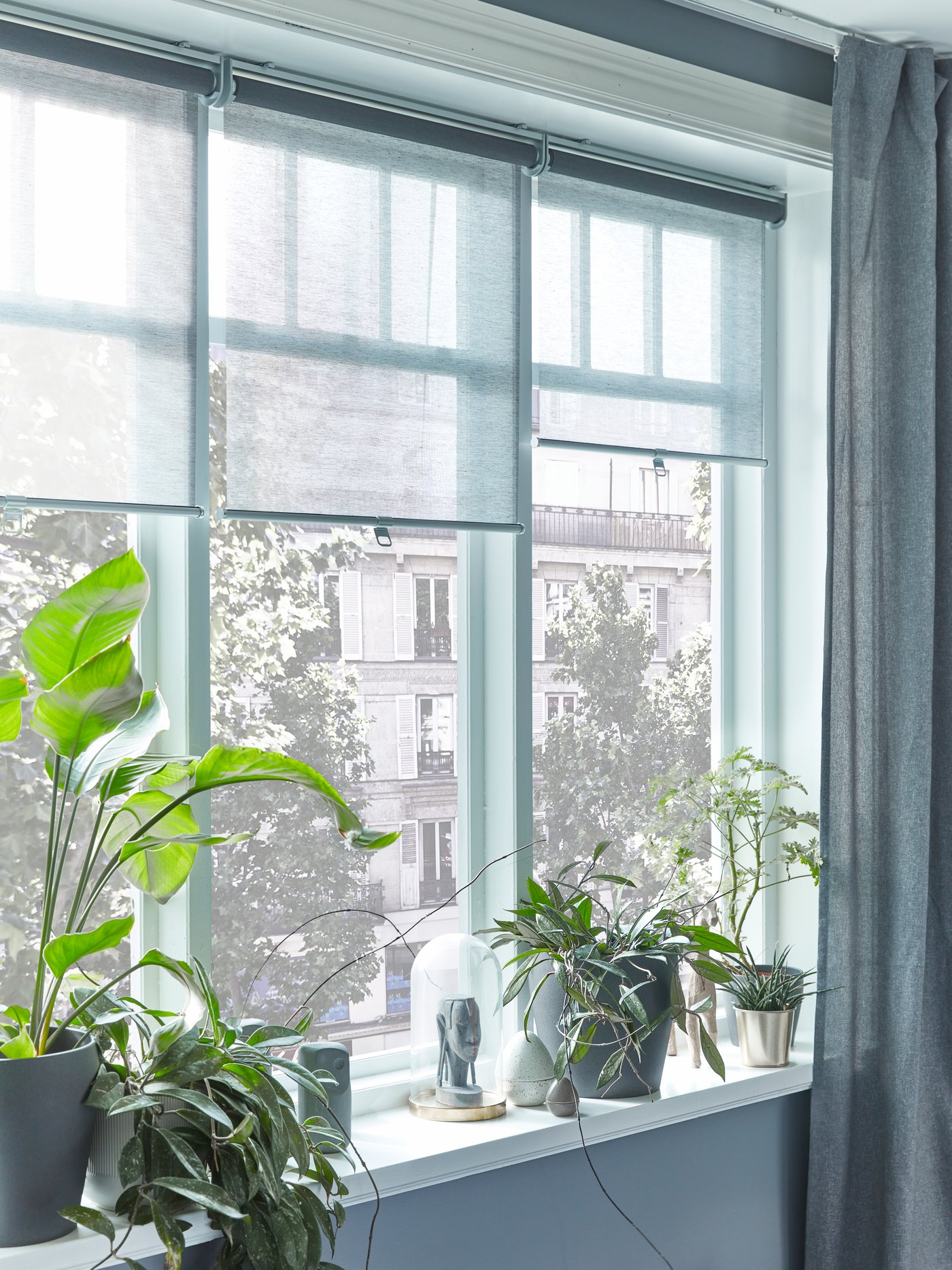 Cortinas roller SKOGSKLÖVER en una ventana. En la base de la ventana se ven plantas.