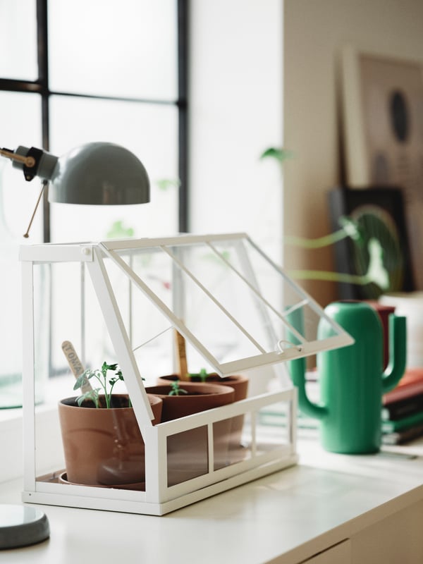 A table with growing supplies and a small ÅKERBÄR greenhouse
