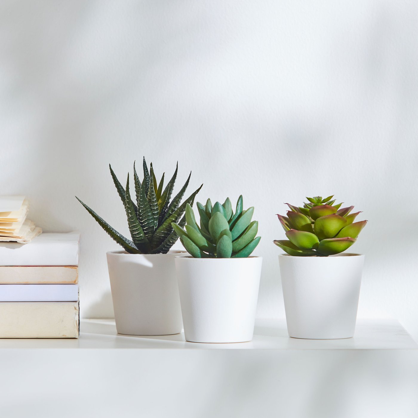 An in/outdoor Succulent FEJKA artificial potted plant with pot in the home office