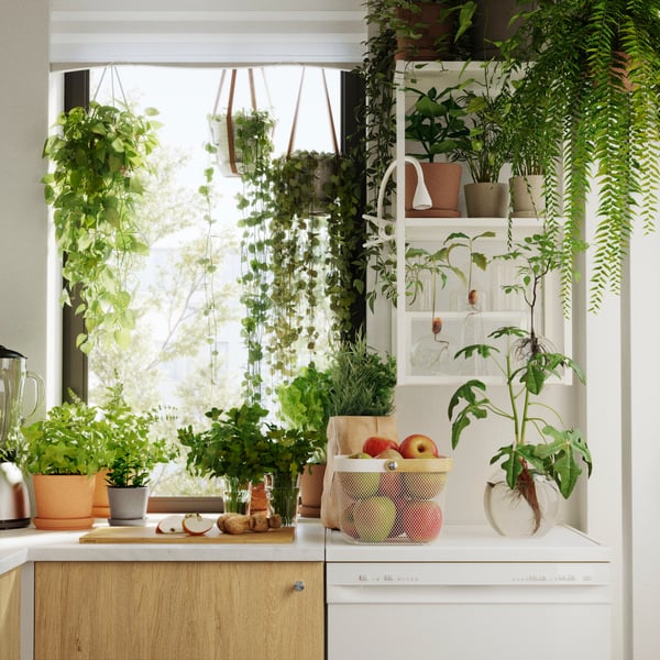A bright kitchen features a white ENHET wall frame with shelves, filled with plants and kitchenware, alongside a blender.
