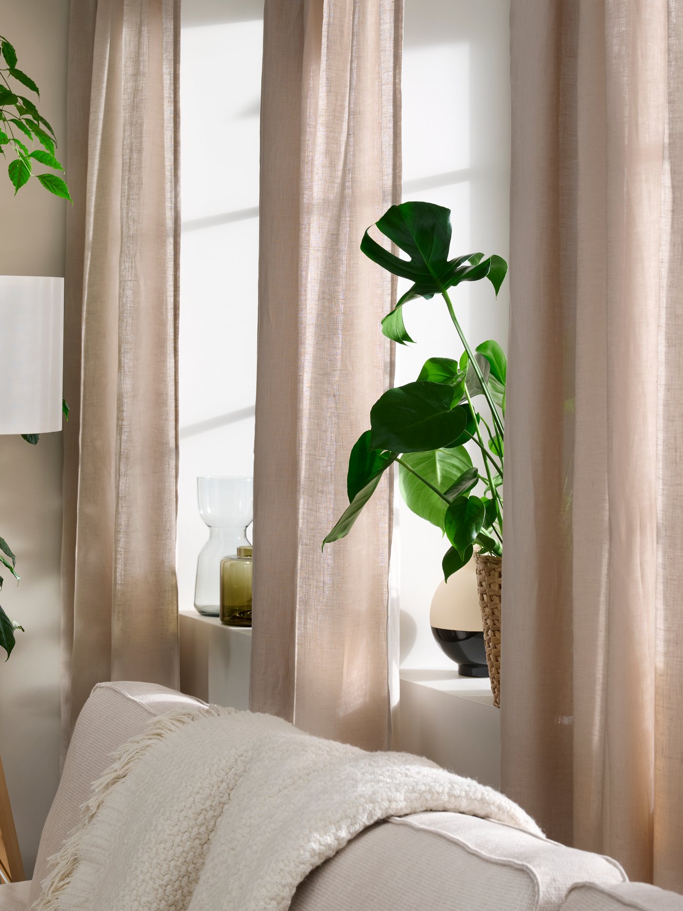 A room interior with a sunlit row of windows with plants and vases on the sills, framed by dark-beige DYTÅG curtains.