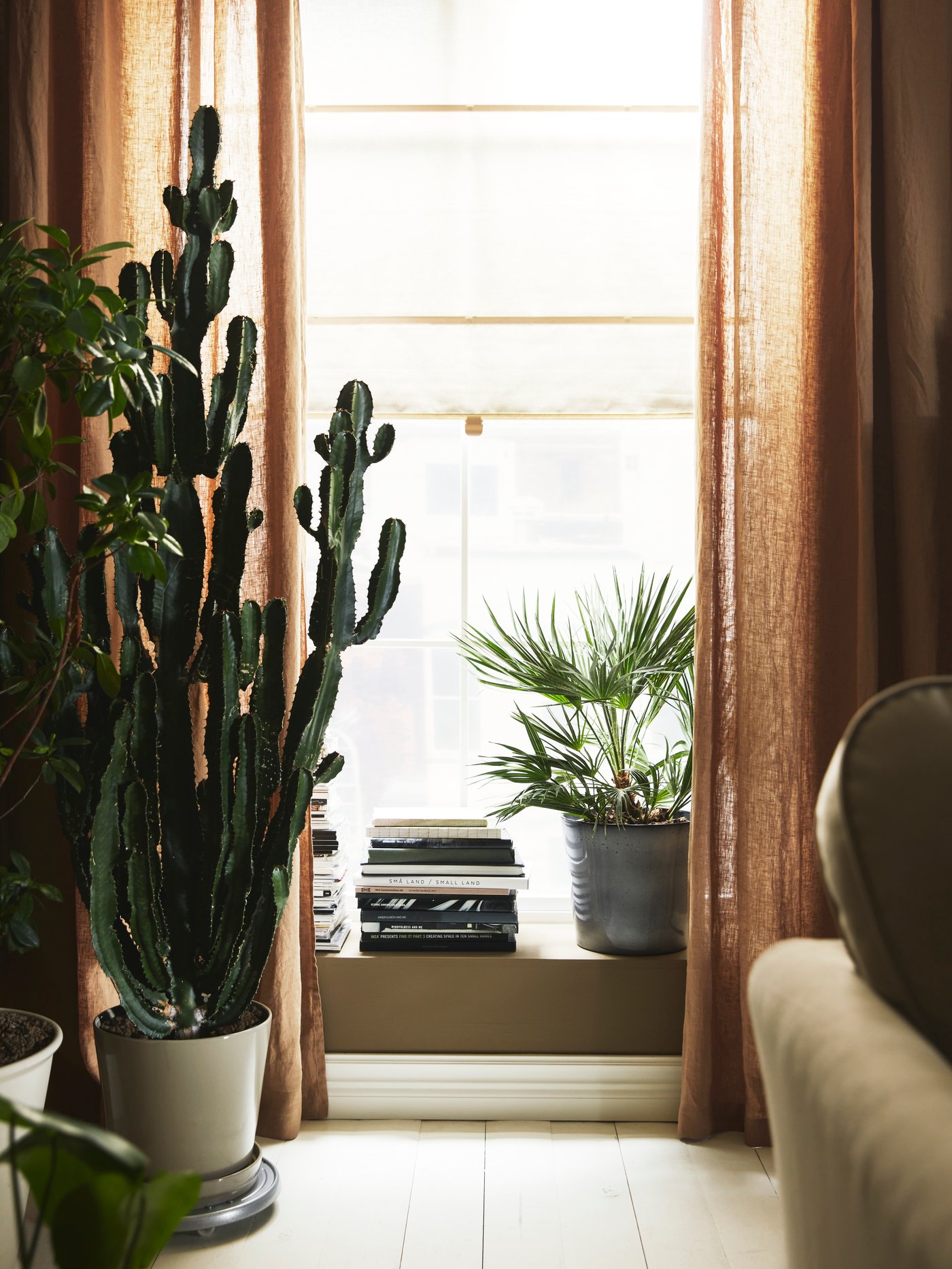 Niektoré rastliny stoja pri okne s tmavobéžovými závesmi DYTÅG a rímskou roletou RINGBLOMMA stiahnutou do polovice.