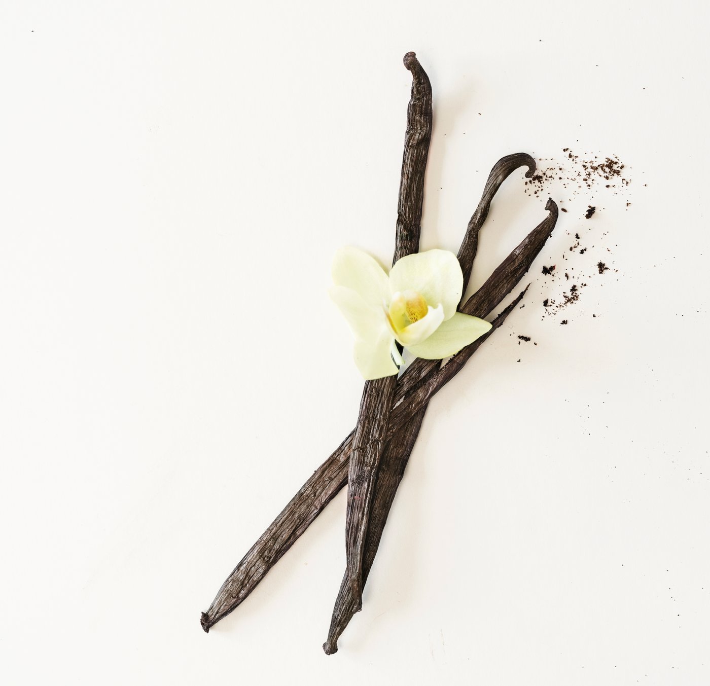 Vanilleschoten und eine helle Vanilleblüte auf weißem Hintergrund