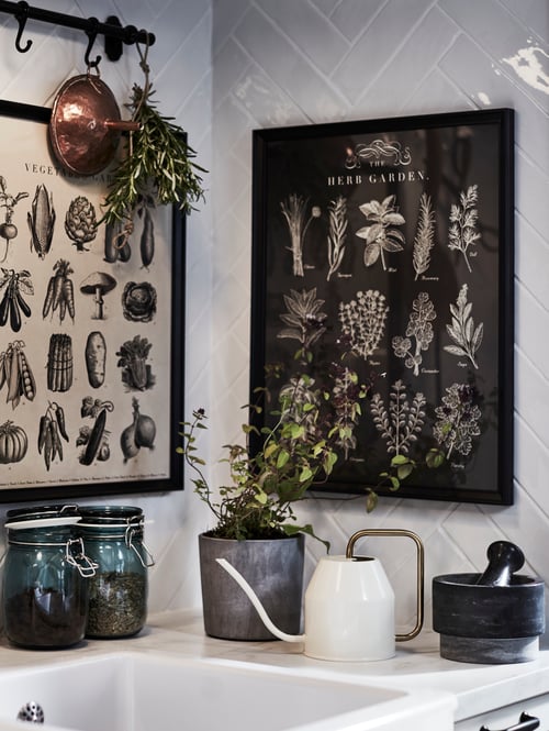 A kitchen sink has garden-themed KNOPPÄNG frames with posters on the walls above by a potted herb and a watering can.
