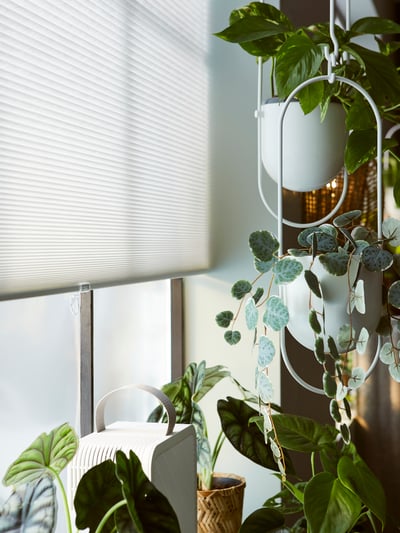 Window Treatments - Window Coverings - IKEA US