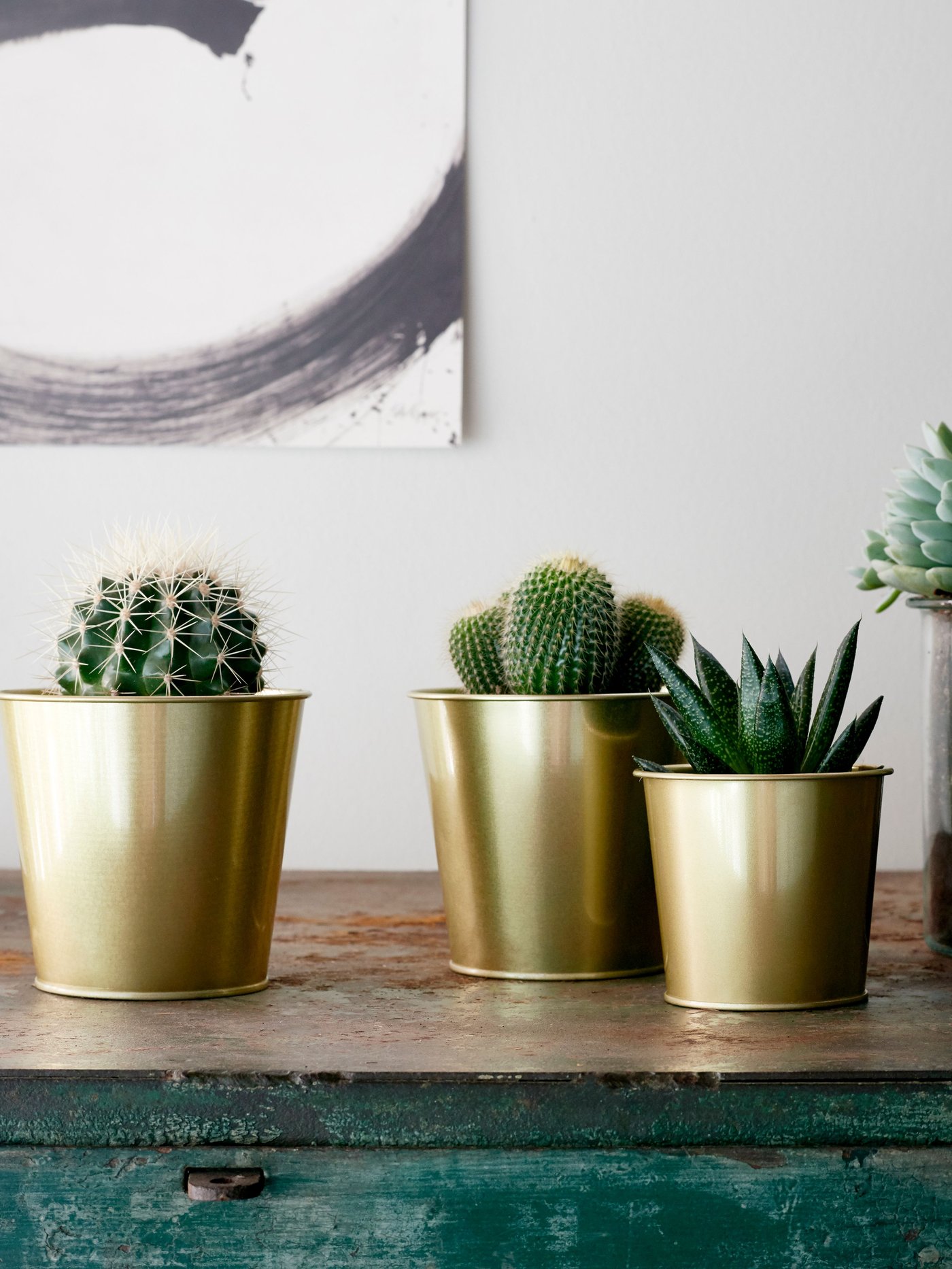 A brass-colour DAIDAI plant pot