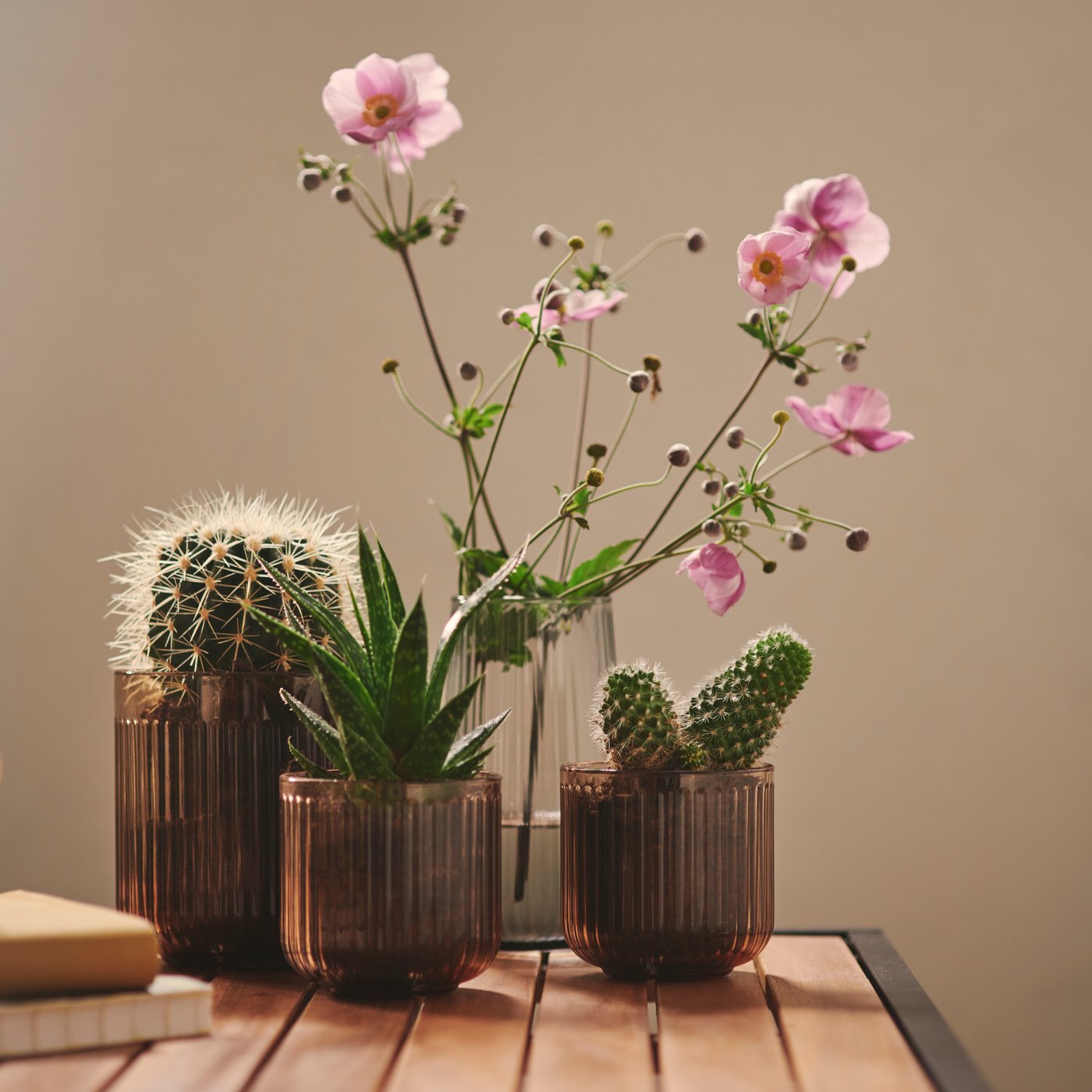 A close-up of light brown GRADVIS plant pots with cactuses and flowers on a wooden table in a bright outdoor space.