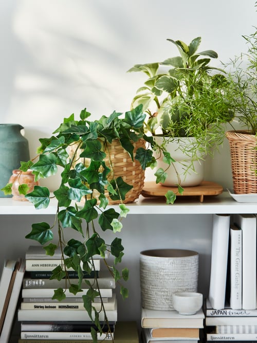 Une section entière d’une bibliothèque BILLY blanche est occupée par un méli-mélo de livres et de plantes artificielles FEJKA placées dans divers cache-pots.
