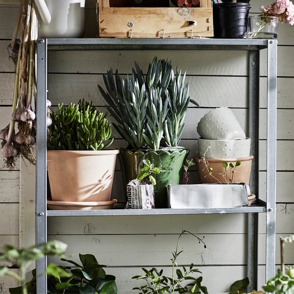 Plants in an iron shelving unit