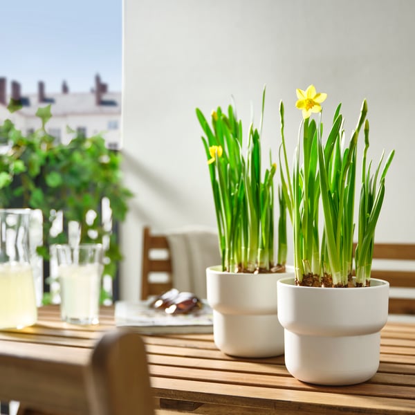 An in/outdoor white FÖRENLIG plant pot