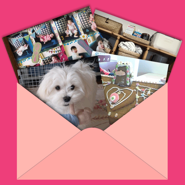 いろいろな写真が封筒から飛び出している