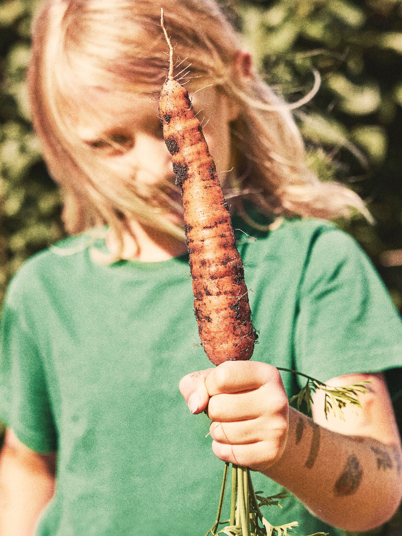 Child holds carrot in hand