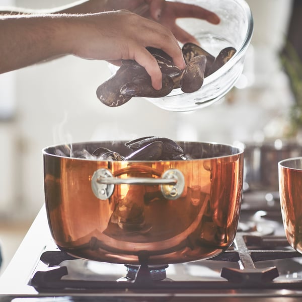 A copper/stainless steel FINMAT pot with lid