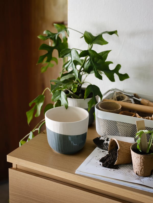 Una cómoda con una planta, una taza y otros productos de IKEA.