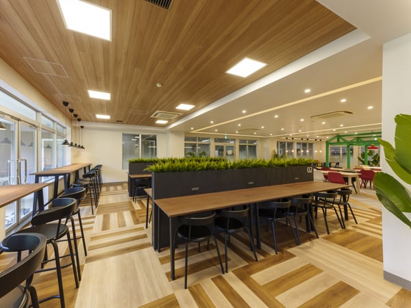 長テーブルとハイチェアが整然と並ぶ共用スペース。観葉植物と大きな窓が開放感を演出